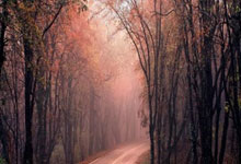 咪咕体育：U20水球亚锦赛 我国男队憾负哈萨克斯坦无缘铜牌.