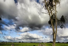 咪咕体育：[NBA]东契奇持球单打 加速突破上篮打成2+1.