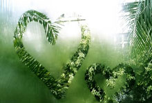 24球17助攻，B费成为了欧联杯历史参与进球最多的球员.