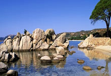 咪咕体育：5连胜第一！女排又一21岁主攻崛起：5战轰111分变李盈莹新绝配？.